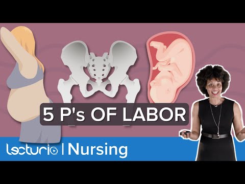 What are the 5 P's of Labor - Care of the Childbearing Family Nursing | Lecturio Nursing