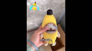 Don&#39;t cry when you bring it home Banana cat Banana cat knows how to cry Pendant