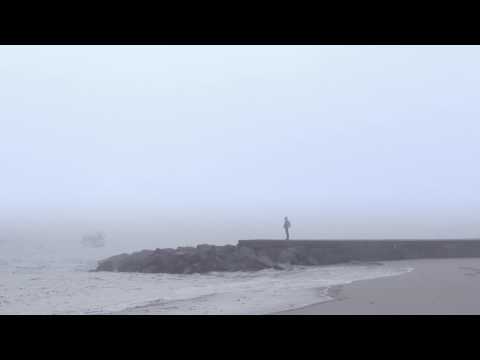 A Forma Justa, Sophia de Mello Breyner Andresen