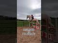First born vs second born child #horse #equestrian #pony #horsegirl #horseriding #siblings #children