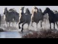 Enigma Return To Innocence