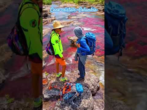 Caño Cristales (the “River of Five Colors”) - Columbia    unreal places on Earth Part - 7