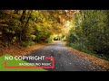 Birthday Pt 2 FCM Release No Copyright Music Instrumental Free CopyrightSafe Music 72