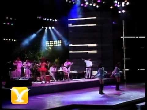 Banda Blanca, Fiesta, Festival de Viña 1992