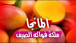 10 فوائد صحية للمانجا ملكة فواكه الصيف .. تعرف عليها