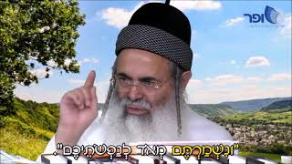 הרב אמנון יצחק - הפחד שיש לאדם בשעת סכנה או אזעקה || ש"י ✔