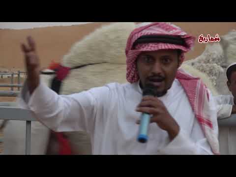 حراج الإبل في عنيزة   السبت 22/  8 /  1440هـ ( الجزء الثالث )