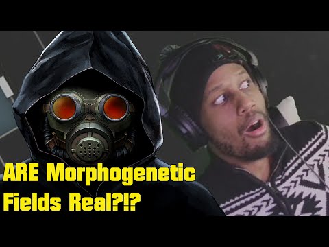 When you play too much 999...