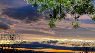 Happiness - To See The Beauty In Everyday Things / Щастие е да виждаш красотата в ежедневието