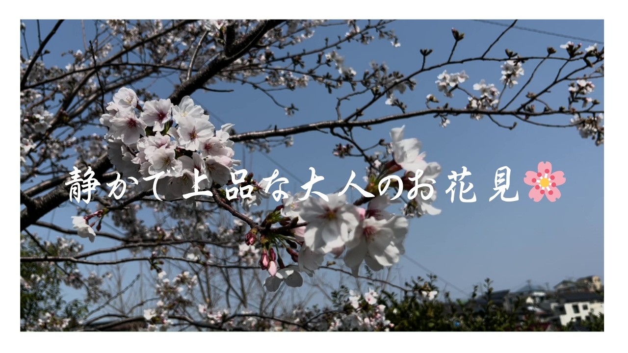 ℣11【Cherry Blossom】 満開の桜を楽しむ庭🌸