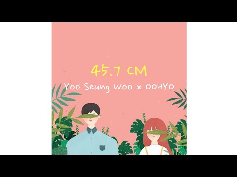 Yoo Seung Woo feat. OOHYO - 45.7cm (선) [Sub Indo]