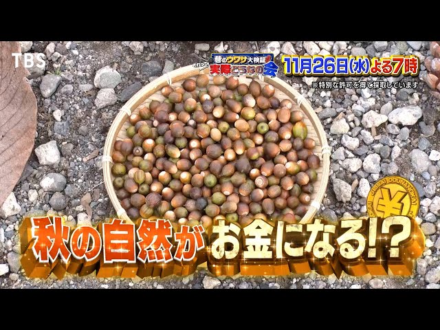 それって実際どうなの会【ホットヨーグルトで太りにくくなる？】