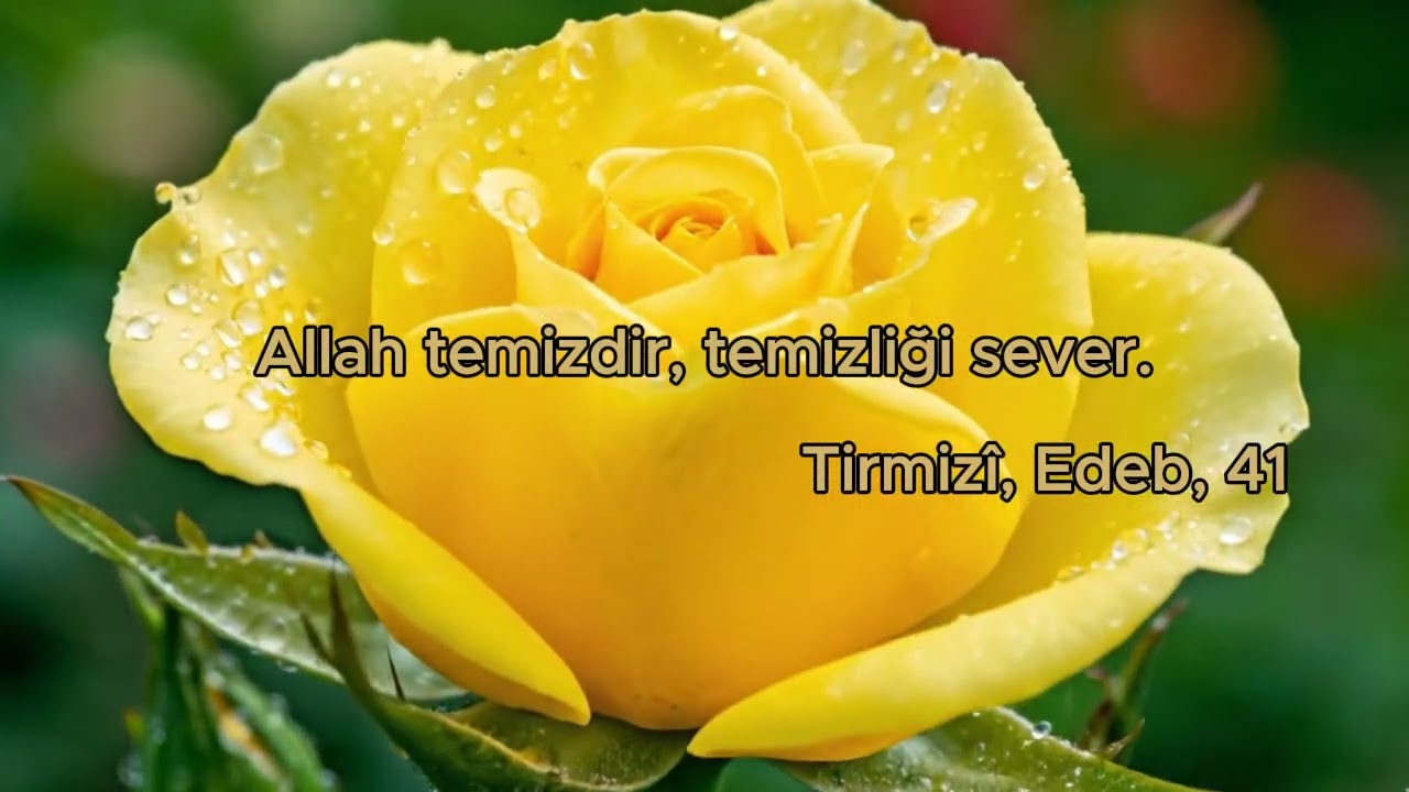 Allah Temizdir, Temizliği Sever | Hadis-i Şerif