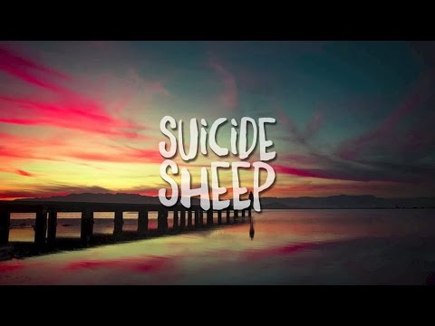 Liza Flume - What We Called Love (MÖWE Remix)