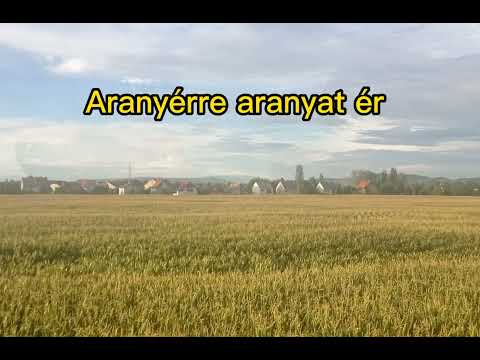 PMB - Tollfelvásárló official music video