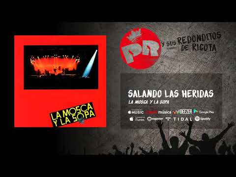 Patricio Rey y sus Redonditos de Ricota - Salando las Heridas (Audio Oficial)