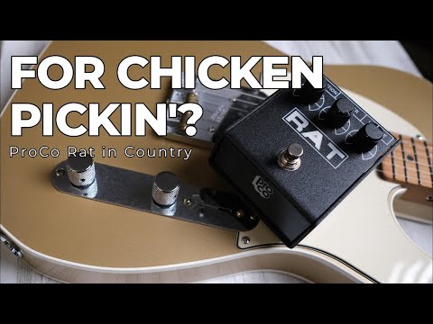 3 Minute Demo: ProCo Rat on Country | Distortion for Chicken Picking