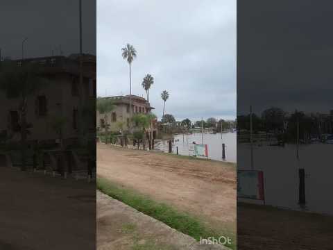 El rio sigue subiendo colon entre Ríos #riouruguay #colon #delaciudadalcampo # #dejarlaciudad