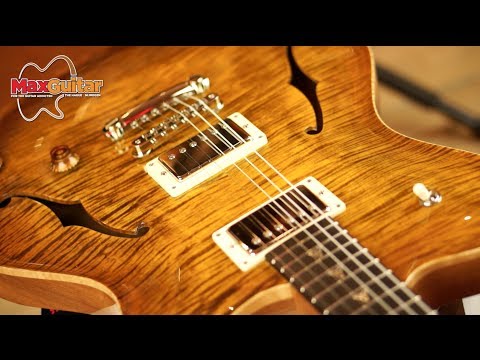 Max Guitar - Nik Huber Rietbergen