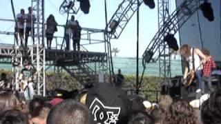 Secret &amp; Whisper- Warrior (Southern Arrowwood)