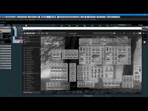 Ambient Toolbox - JP Phillippe - Reaktor ensemble