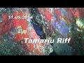 11.09.2014 - Tamariu Riff - Tauchen an der Costa Brava, Tamariu, Costa Brava, Spanien, Festland