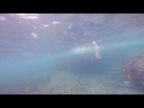 Inscrição Ponto Snorkeling