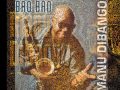 Manu Dibango -  Africadelic
