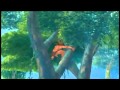 Tarzan Son Of Man One Line Multilanguage Surf Scene