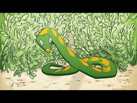 Leski Summer Showreel 2025