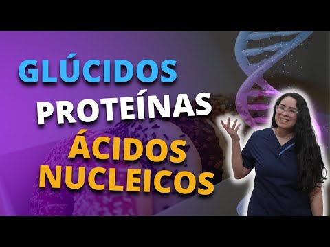 Clase 7. Glúcidos. Proteínas. Ácidos Nucleicos.