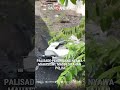 Home 23 Video thumbnail
