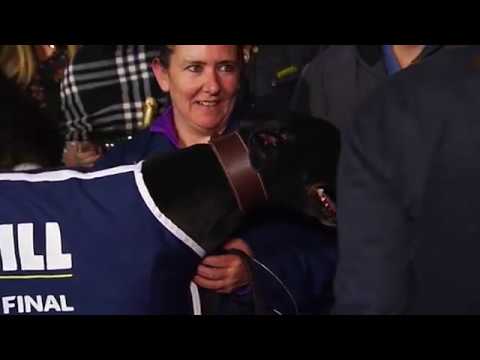 2018 WILLIAM HILL ALL ENGLAND CUP PRESENTATION