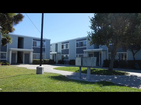 JAI-HARVEST -MARCO POLO APTS - Video 2 of 2