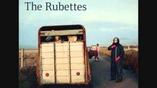 The Auteurs "The Rubettes"