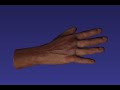 CPU Skinning Skeletal Animation