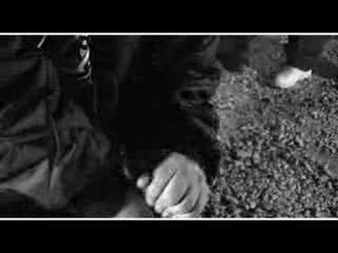 HATA PROOF DOWN FOR MY BLOCK