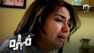 Episode 213
