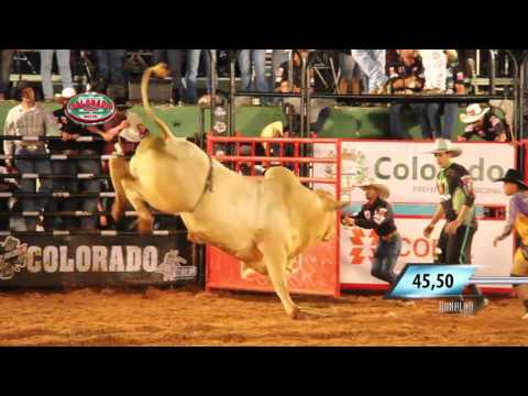 Rodeio de Colorado 2016 - MELHORES TOUROS / QUINTA FEIRA