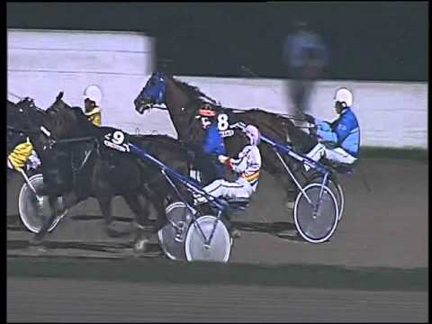 Trotto 05/11/2015 - 7° corsa