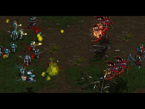 Ample 🇰🇷 (T) vs ArtUser 🇰🇷 (Z) on Optimizer - StarCraft - Brood War Remastered