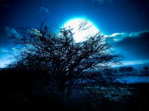 Sebastian Garuti - Blue Moon (Matias Chilano Remix)