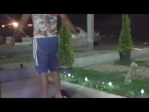 Видин цеци лудата глава