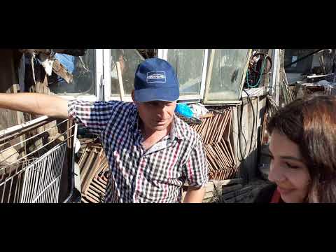 Sami ne prezintă grădina de la Giulvăz și caprele lui celebre