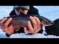 Video Thumbnail for My First Splake Trout - Stocked Lake Ice Fishing Success!