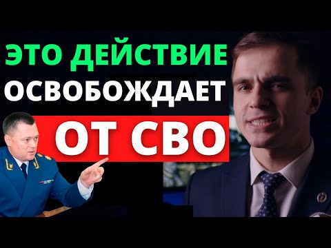 Освобождение от СВО. После этого действия тебя уже не направят на СВО. Адвокат разъясняет (4k)