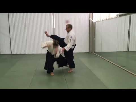 Aikido, practice