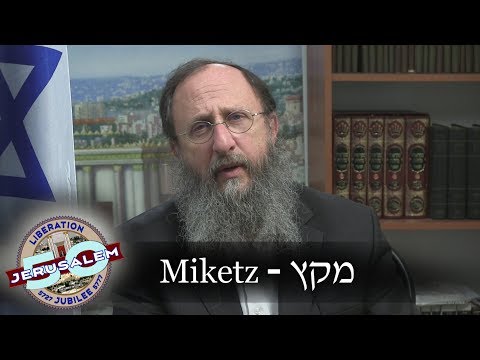 Weekly Torah Portion: Miketz