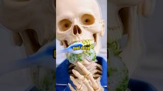 ESCOVAR OS DENTES ANTES OU DEPOIS DO CAFÉ DA MANHÃ #saude #saudavel #dentes #limpeza