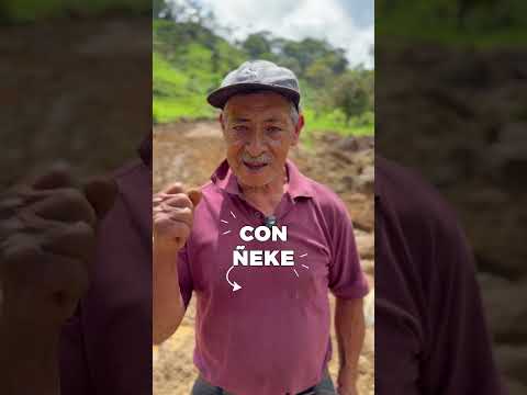 🚜 Seguimos aperturando vías en toda la provincia. #𝐓𝐫𝐚𝐛𝐚𝐣𝐚𝐧𝐝𝐨𝐂𝐨𝐧𝐍𝐞𝐤𝐞